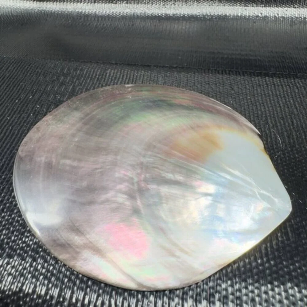 1999 Natural Abalone Shell‎ Iridescent Smooth Etched Mother Of Pearl World Peace